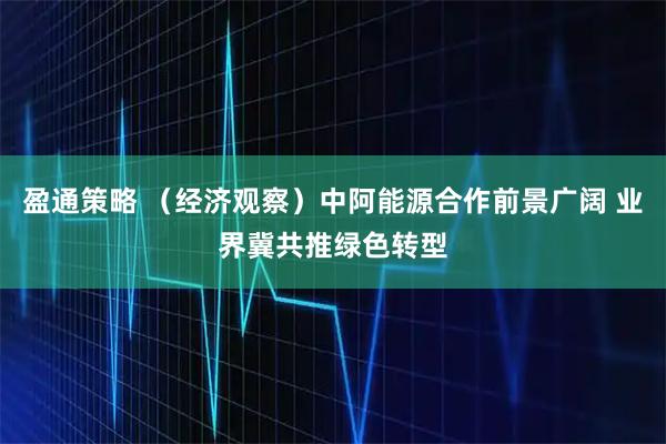 盈通策略 （经济观察）中阿能源合作前景广阔 业界冀共推绿色转型