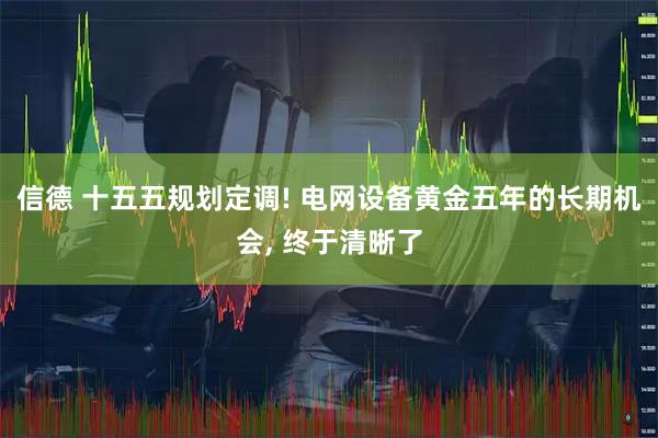 信德 十五五规划定调! 电网设备黄金五年的长期机会, 终于清晰了