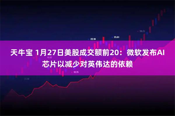 天牛宝 1月27日美股成交额前20：微软发布AI芯片以减少对英伟达的依赖