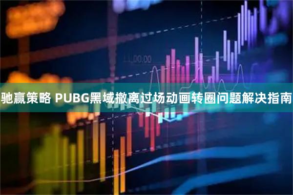 驰赢策略 PUBG黑域撤离过场动画转圈问题解决指南
