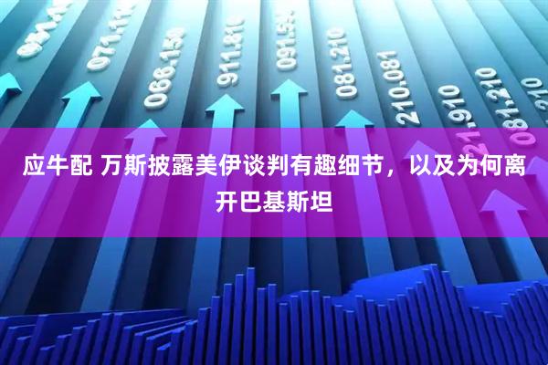 应牛配 万斯披露美伊谈判有趣细节，以及为何离开巴基斯坦